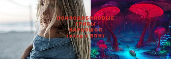 дурь Горно-Алтайск