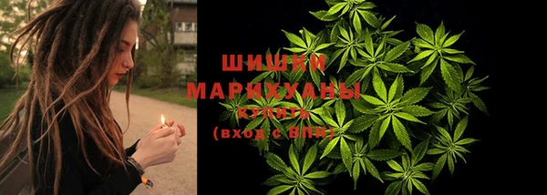 прущая мука Гусев