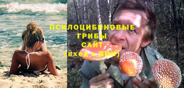 MDMA Premium VHQ Горнозаводск