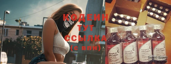 гашик Верея