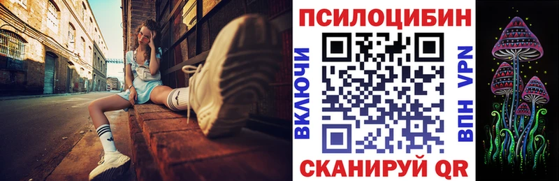 Галлюциногенные грибы Psilocybe что такое наркотик kraken как войти Ельня